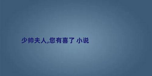 少帅夫人,您有喜了 小说